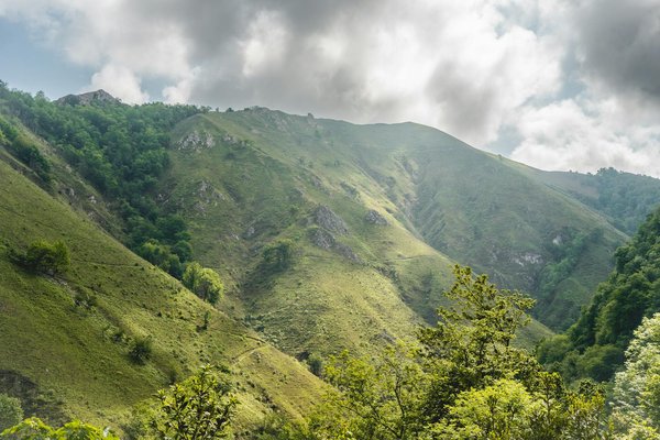 Quelles croisières permettent de visiter des vignobles en Nouvelle-Zélande?