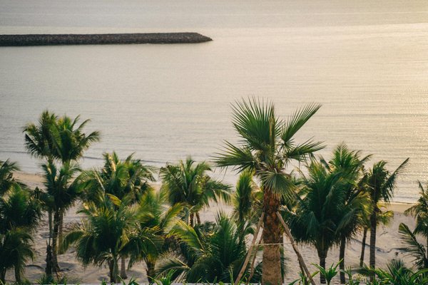 Où trouver des ateliers de peinture traditionnelle en Indonésie?